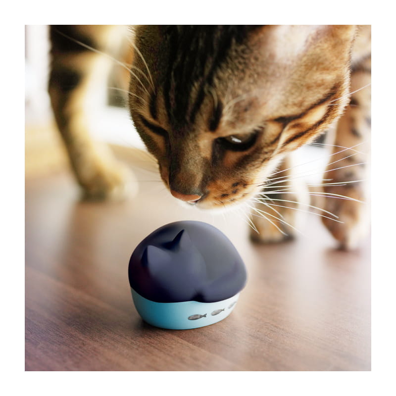NEKO true wireless earphone クロ [HP-C28BTK]