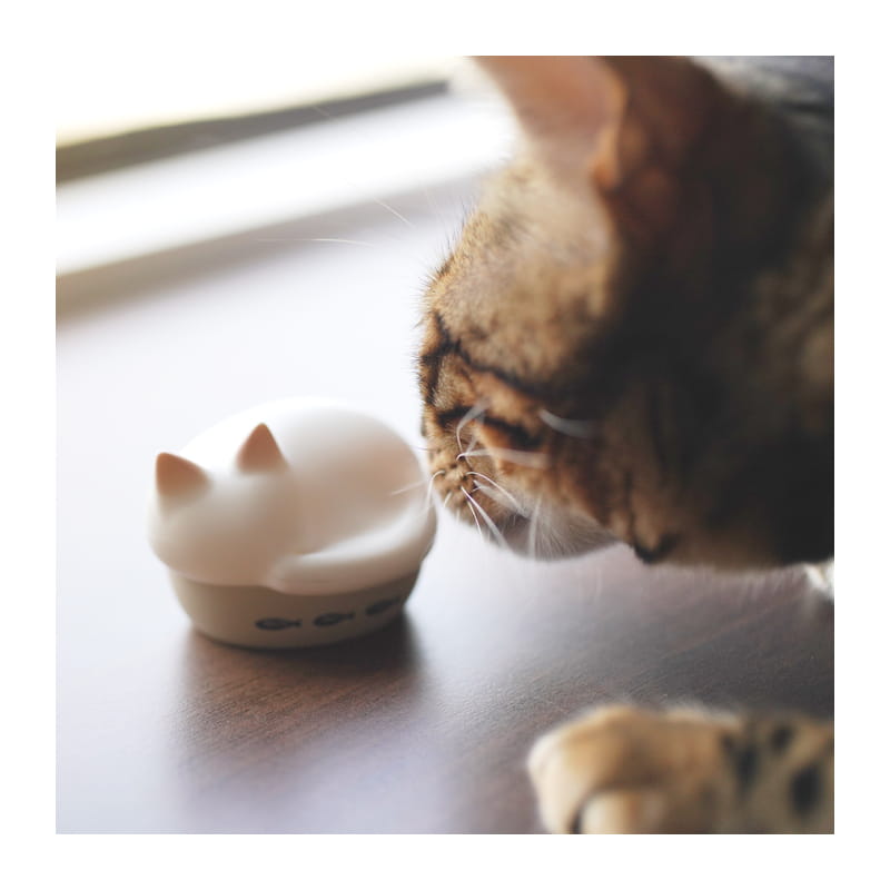 NEKO true wireless earphone シロ [HP-C28BTW]