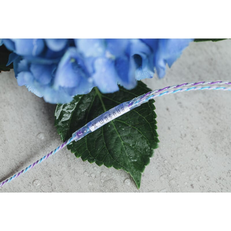Hydrangea