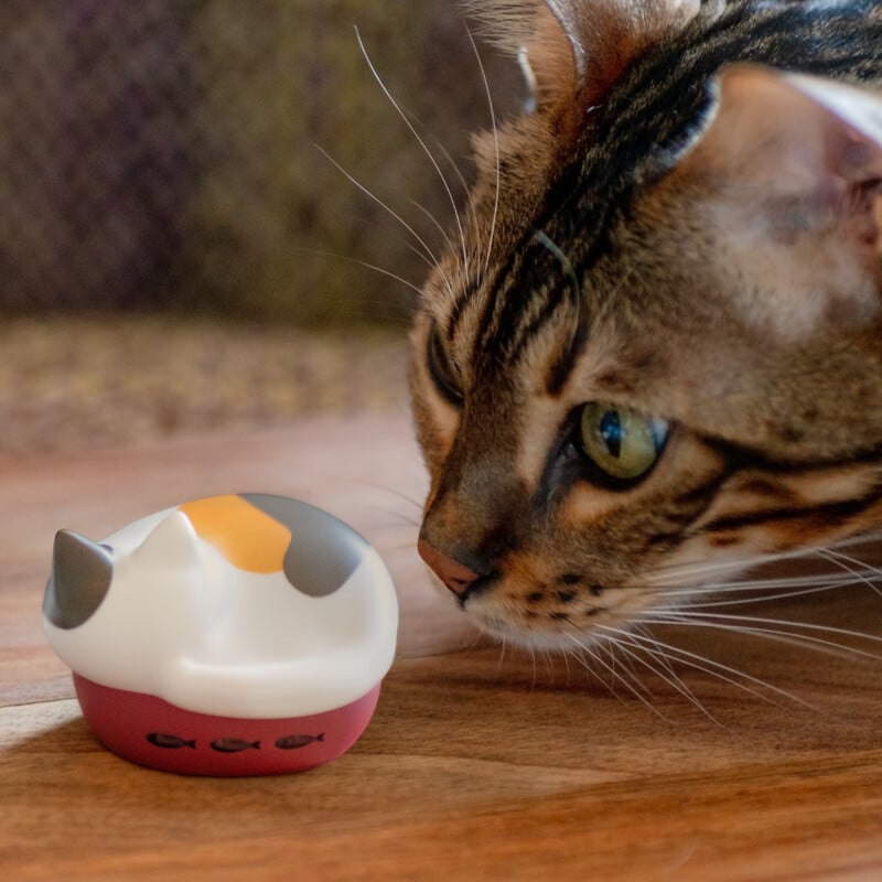 NEKO true wireless earphone サバトラ [HP-C28BTS]