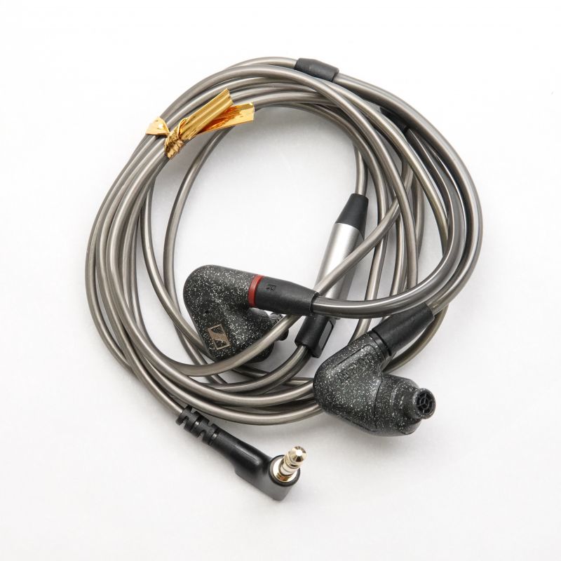 ゼンハイザー　IE300 IE 300 | Sennheiser United States