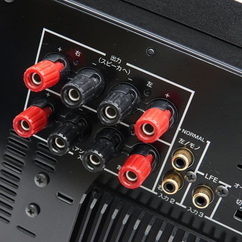 NS-SW300(B)