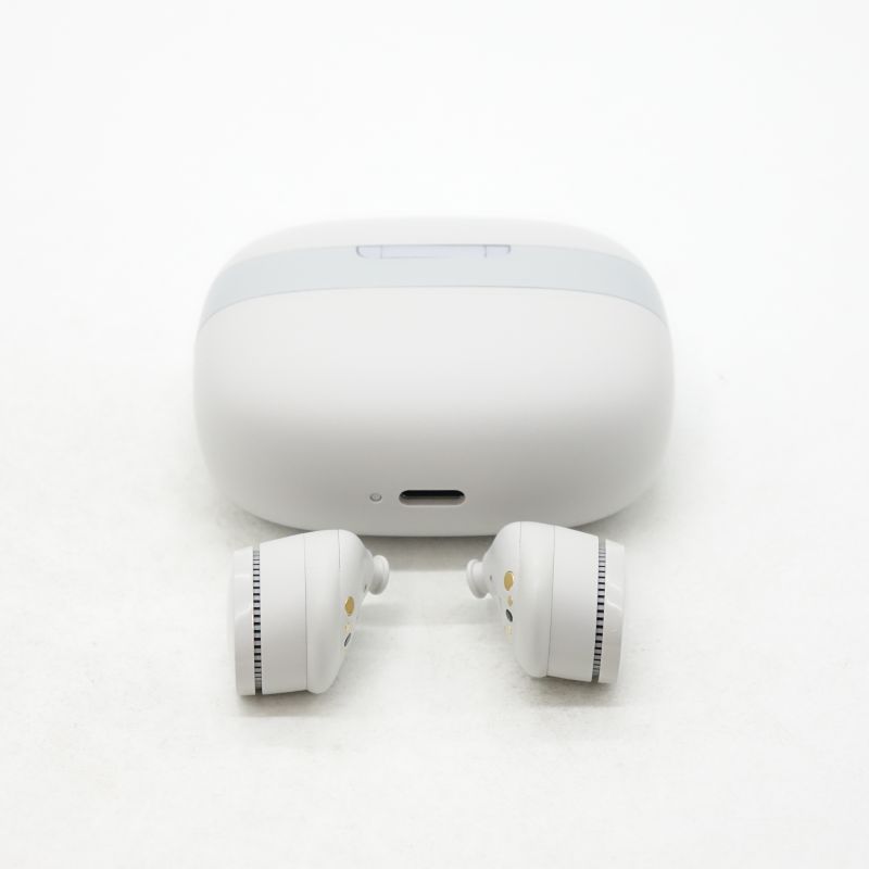 GW100x