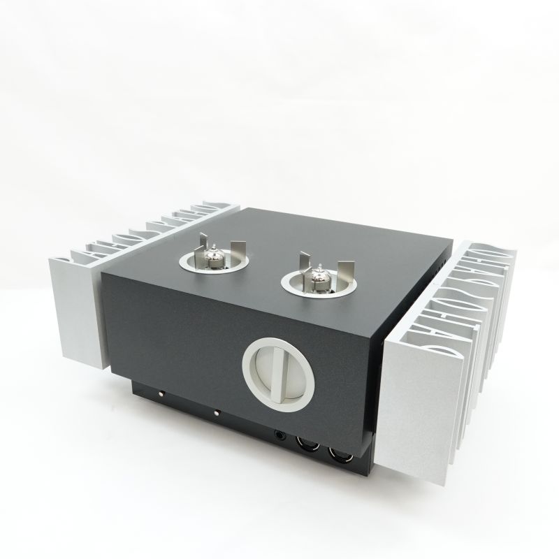 InPol EAR with DAC MB