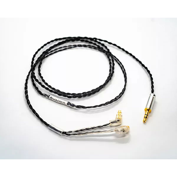 GAUDI - 5BA Semi Custom IEM model