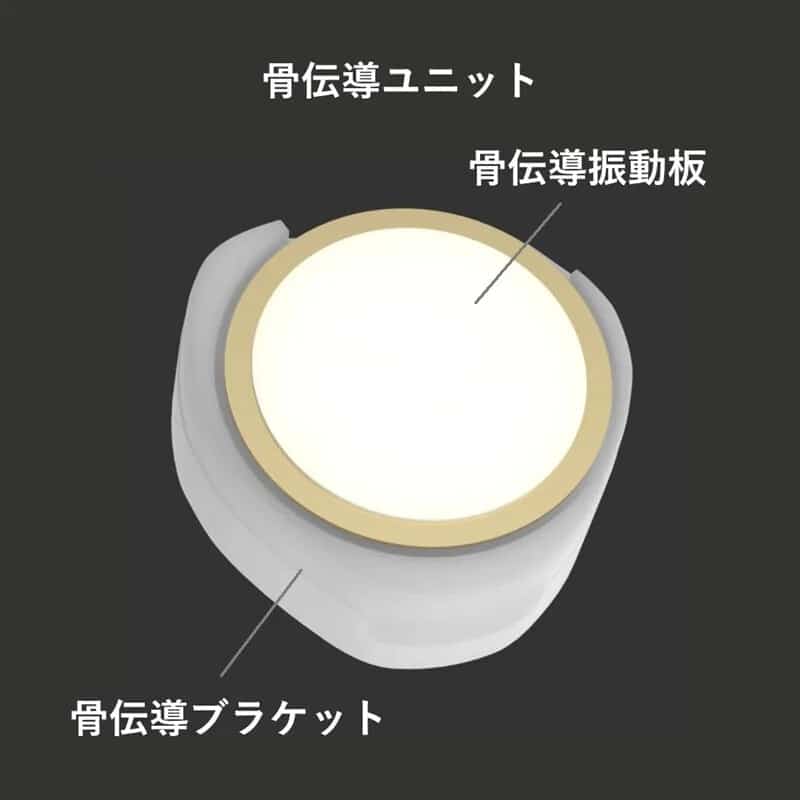 Winter シルバー (4.4mmプラグ)