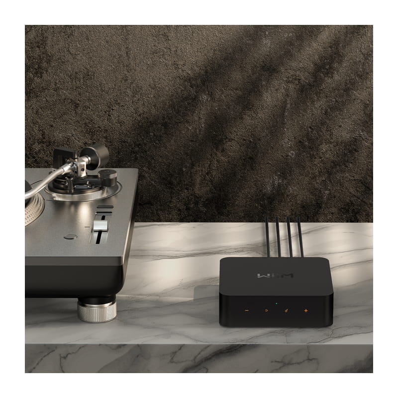WiiM Pro Plus