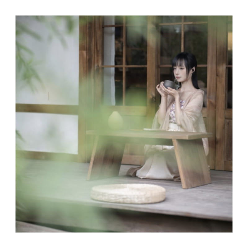 竹-CHU 2 DSP