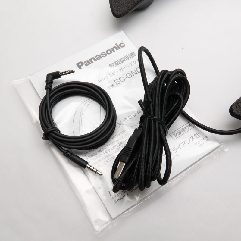 Panasonic SC-GN01-K BLACK 国内外の人気集結！ - アンプ