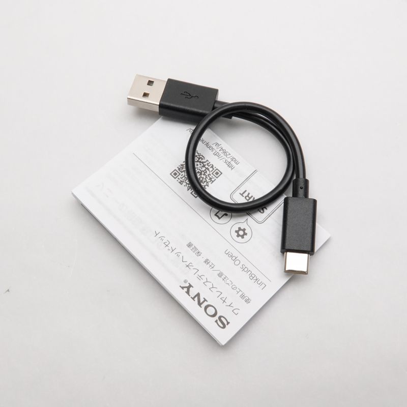LinkBuds Open (Black) [WF-L910 B]