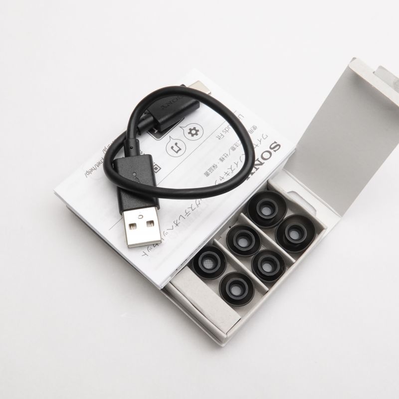 LinkBuds Fit (Black) [WF-LS910N B]