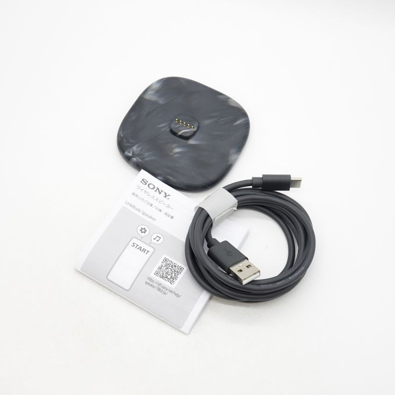 LinkBuds Speaker (Black) [SRS-LS1 B]