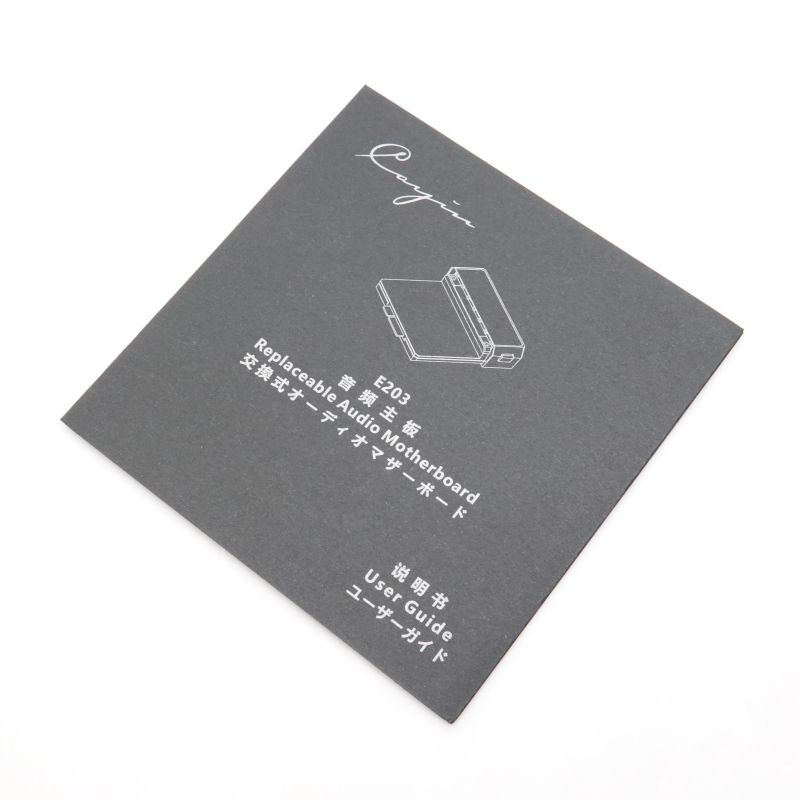 Cayin N6III マザーボードE203 Cayin E203オーディオマザーボード for N6iii [E203]｜新品通販