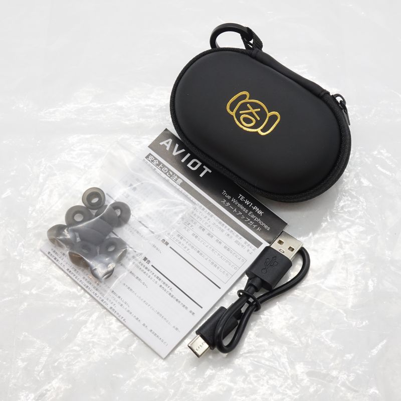 TE-W1-PNK ピエール中野コラボモデル