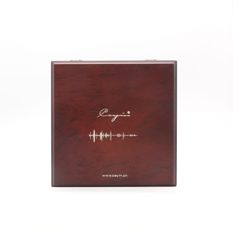 CS-30TCRType-CtoRCAケーブル