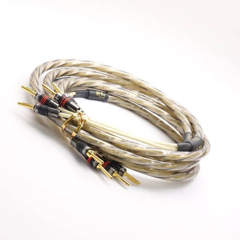 Reference Golden Anniversary XT