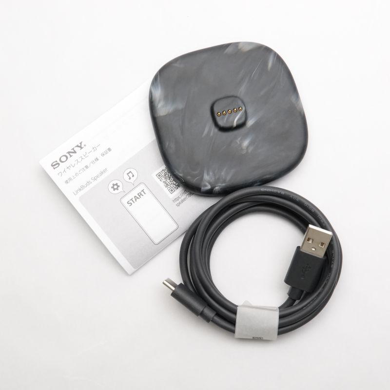 LinkBuds Speaker (Black) [SRS-LS1 B]