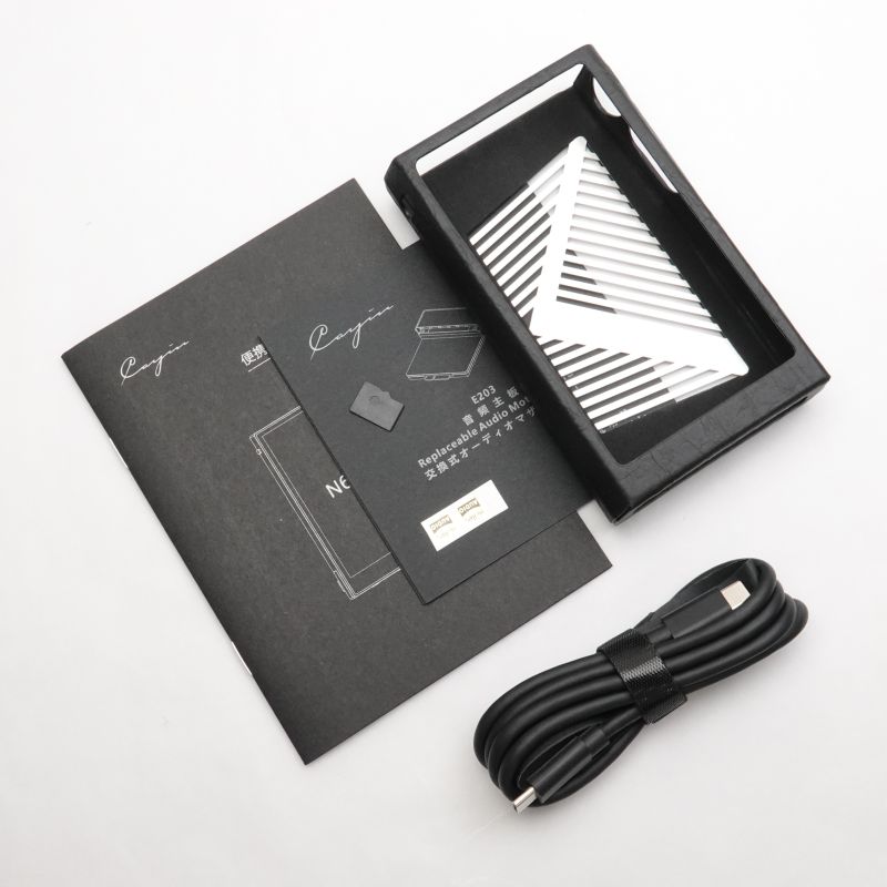 N6iii DAP/E203 [SPK-A006-E203]
