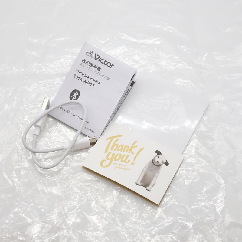 HA-NP1T コールブラック [HA-NP1T-B]