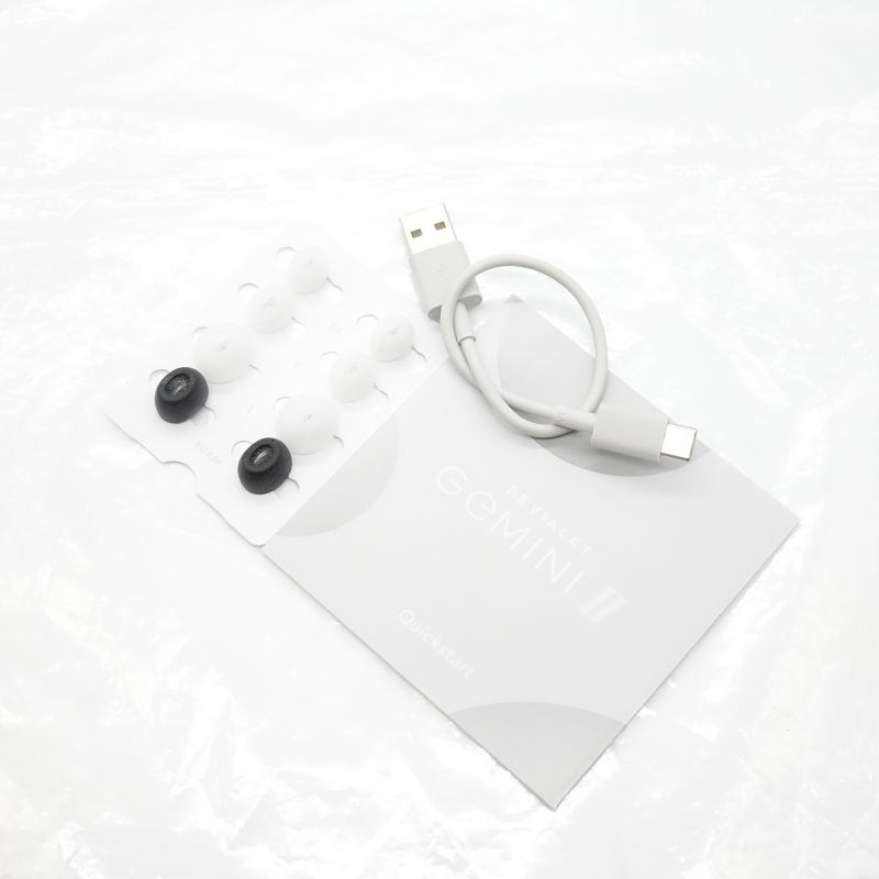 DEVIALET GEMINI II LIGHT PEARL AB+ランク 中古｜フジヤエービック