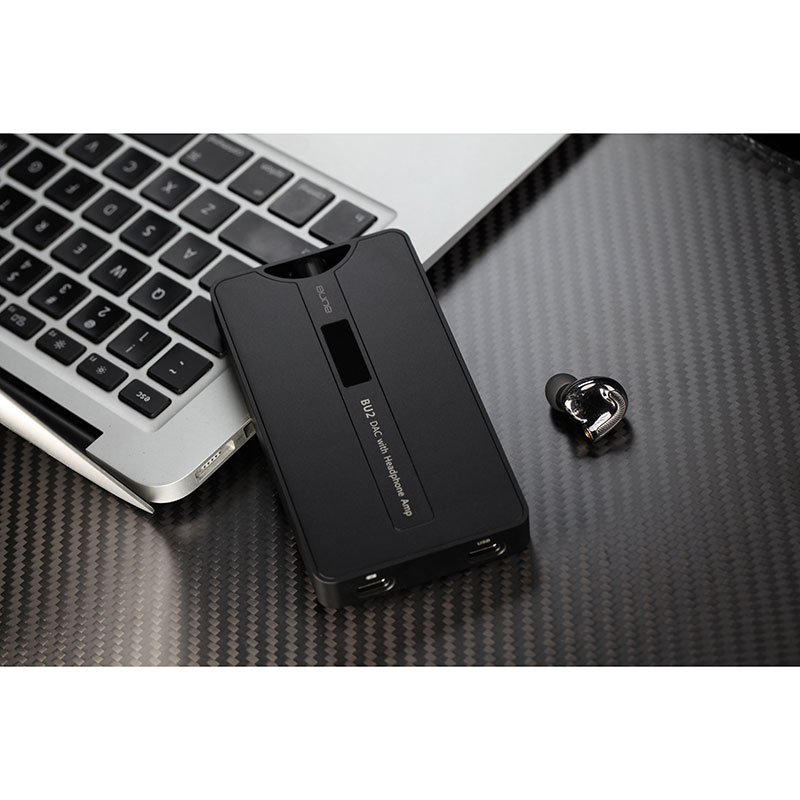 aune audio BU2｜フジヤエービック