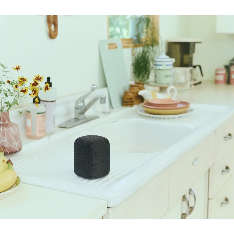 LinkBuds Speaker (Black) [SRS-LS1 B]