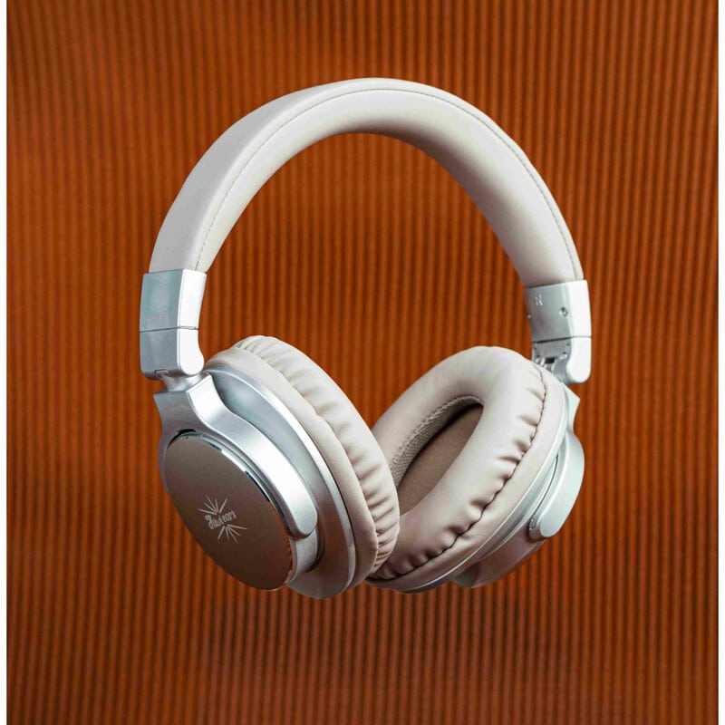 Kiwi Ears Division - Silver｜新品通販フジヤエービック