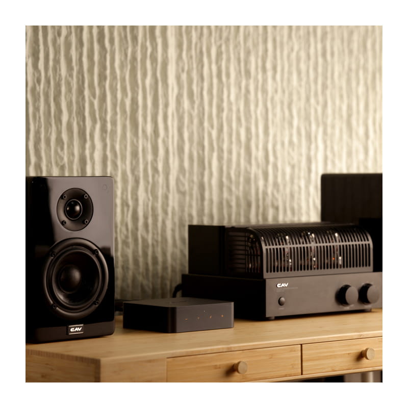 WiiM Pro Plus