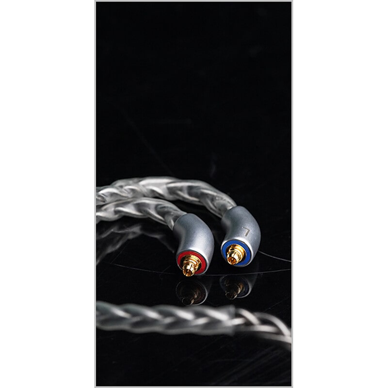 FH19 [FIO-IEM-FH19-B]