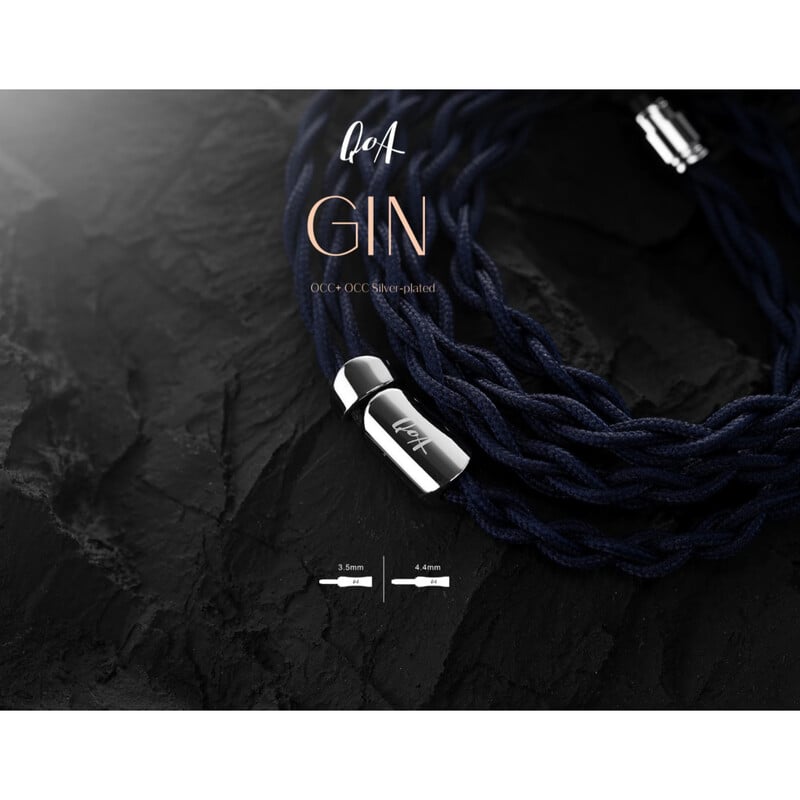 GIN 2pin（2025年10月3日発売予定）