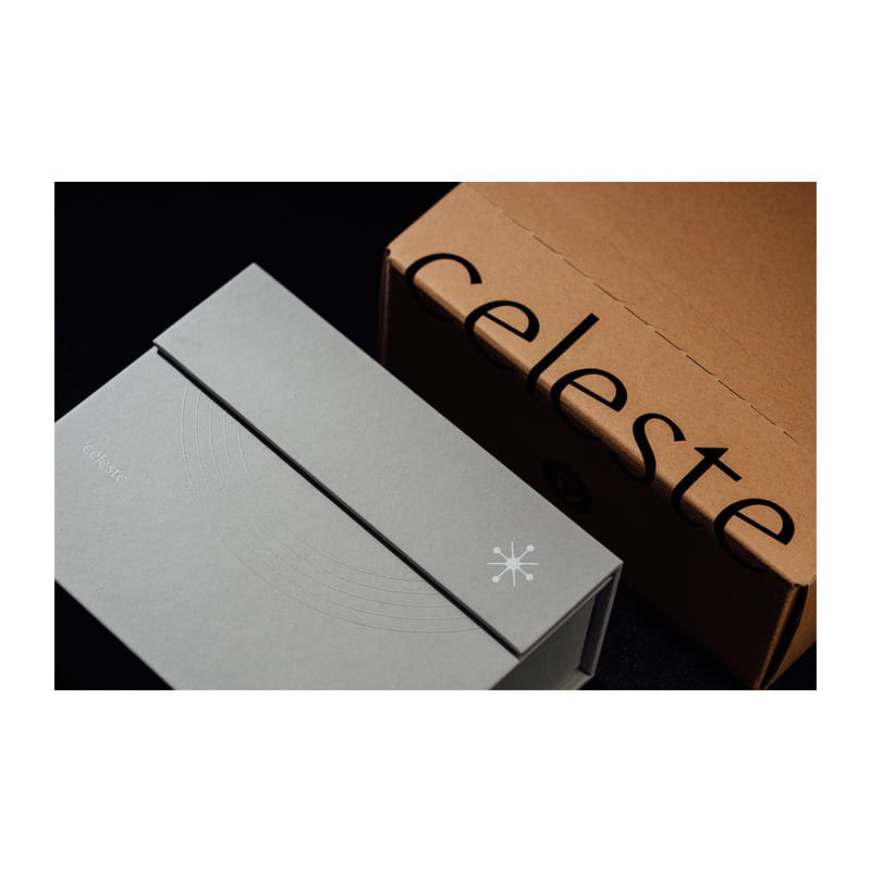 CELESTE 2Pin [Dita Celeste 2-pin]
