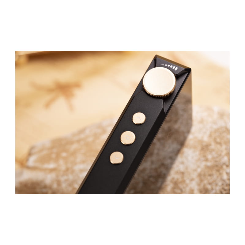 Cayin N3Ultra｜新品通販フジヤエービック