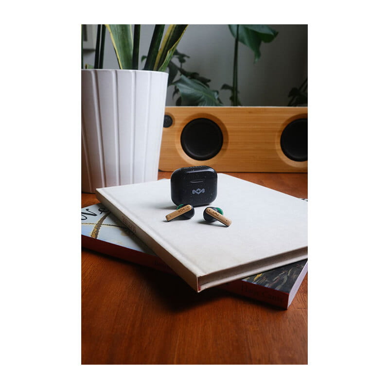 LITTLE BIRD ワイヤレスインイヤーヘッドホン / シグネチャーブラック [EM LITTLE BIRD TRUE WIRELESS SB]