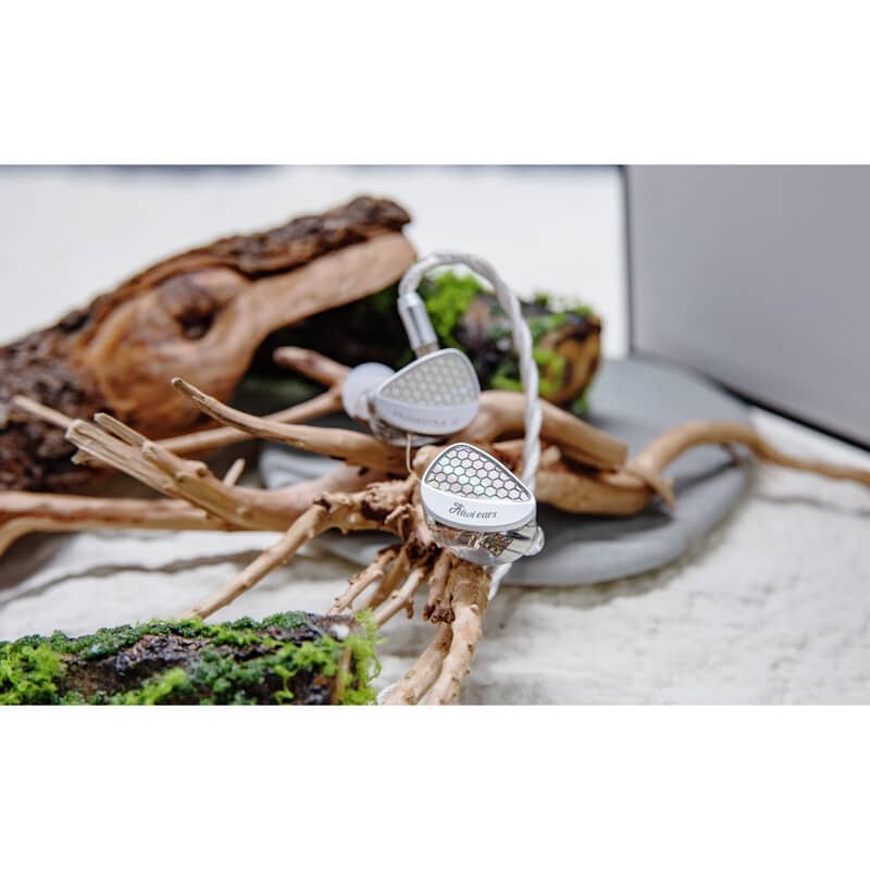 Orchestra II(2026年1月16日発売予定)