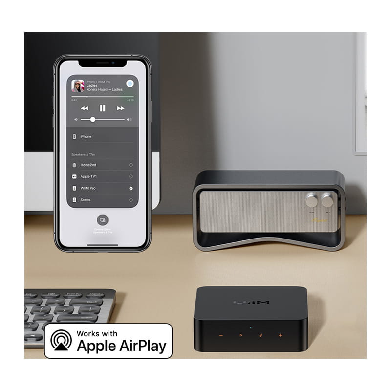 3連休セール❣️WiiM Pro AirPlay 2 レシーバー