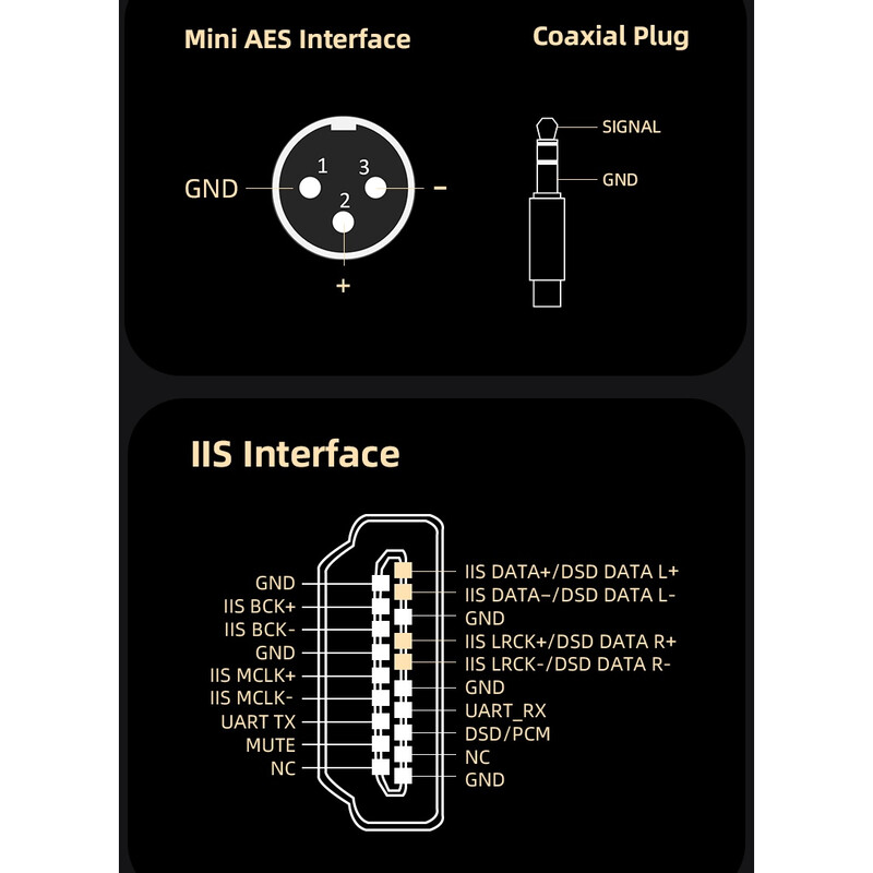 DP-10(2026年2月10日発売予定)