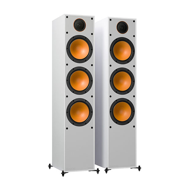 Monitor300/WH