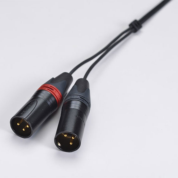 SW-HP20-XLR