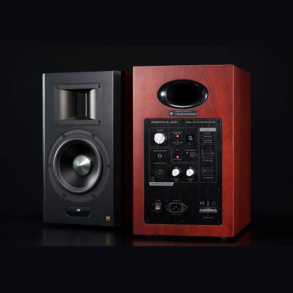 A300 PRO