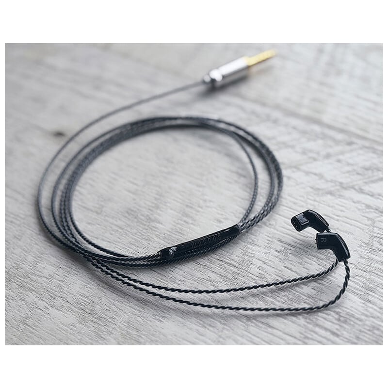 Black Diamond Vier / 4.4mm 5極 AEC製金メッキプラグ / qdc / ロゴ＆イヤーコネクタアートワーク ブラックキュービックジルコニア装飾