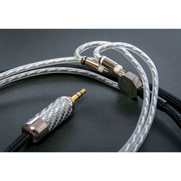 REC-absolute-FM Custom 2pin-2.5mm4極