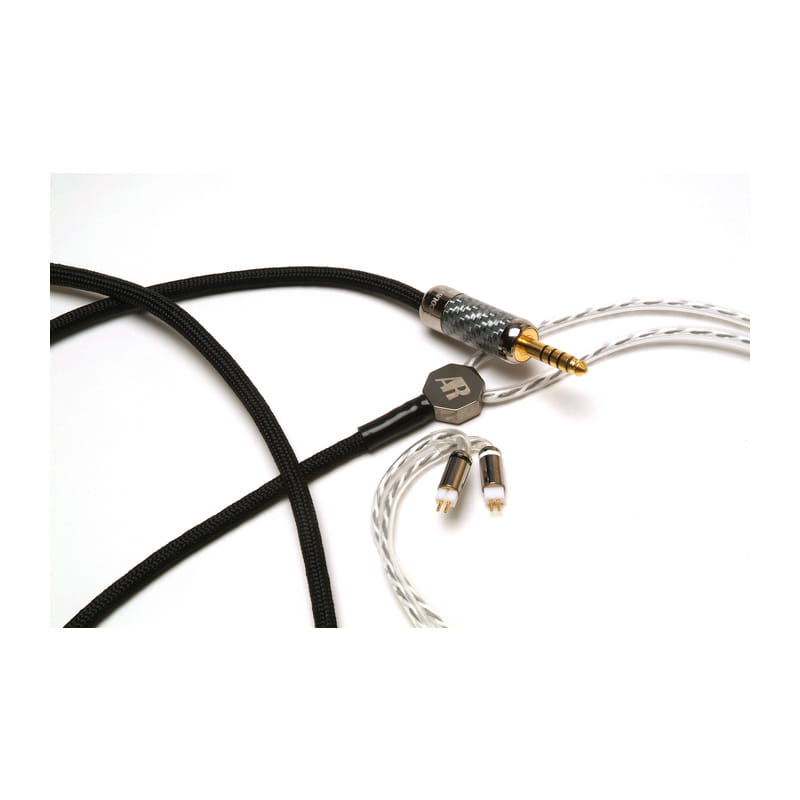 REC-absolute-FM Custom 2pin-4.4mm5極