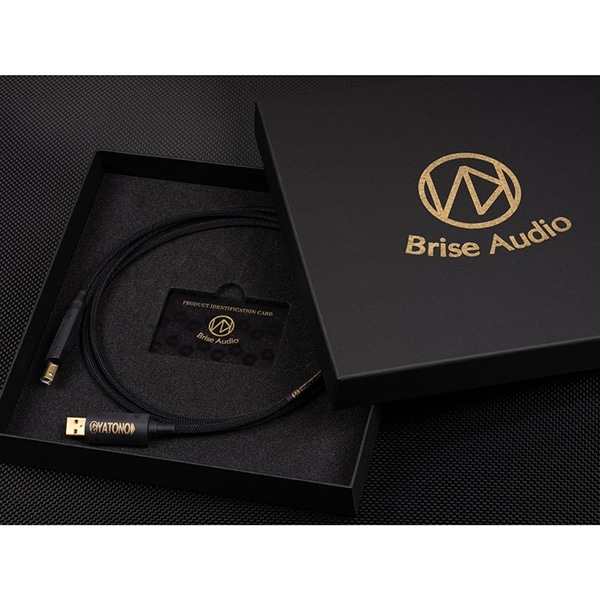 AIM電子 SHIELDIO UA3-R005 Luxman Ifi ケーブル | filmekimi.iksv.org