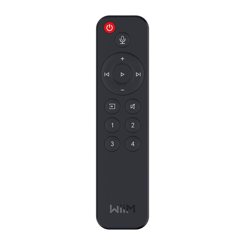 Voice Remote