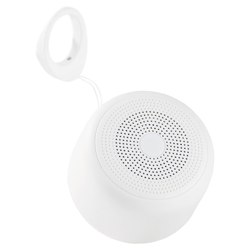 ASP-317WH