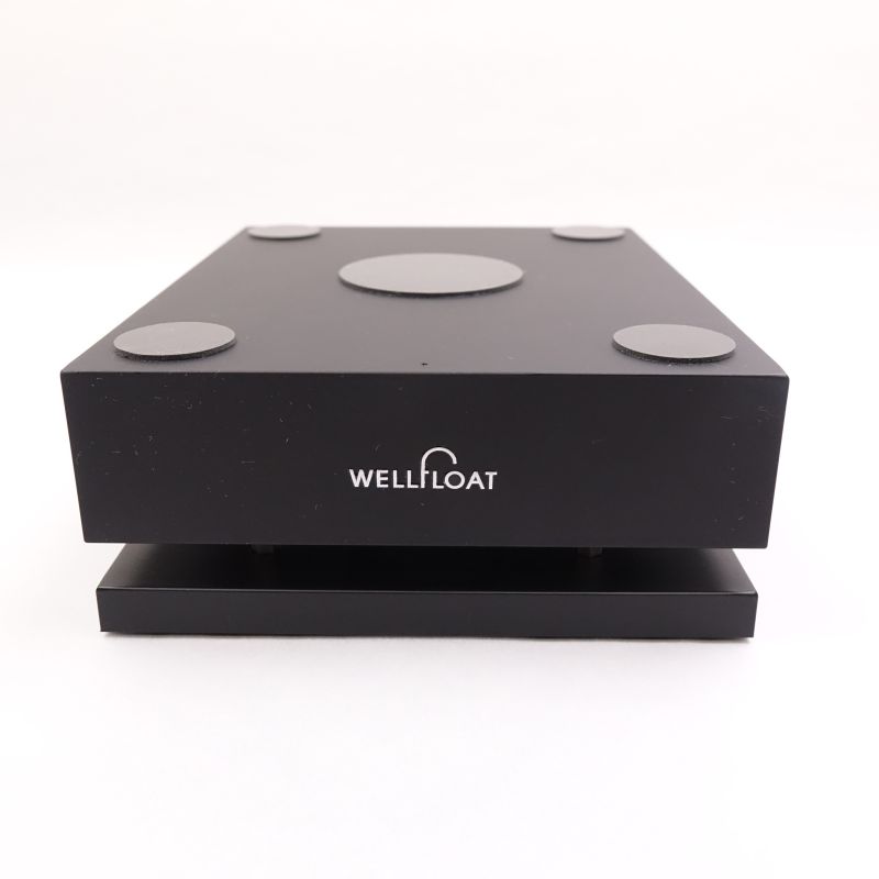 WELLFLOAT BW001-TYPE1