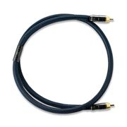 EXPLORE-SG-RCA-1.0M