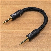 Westone ES60 PW Audio 2.5mm4極バランスケーブル付き 2025年最新】Westone ES60の人気アイテム - メルカリ