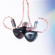 P1MAX Commemorative Edition