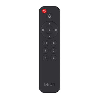 Voice Remote